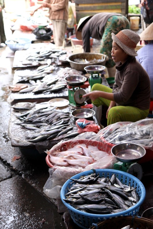 Hoi An Fish Market